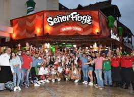 sr frogs3