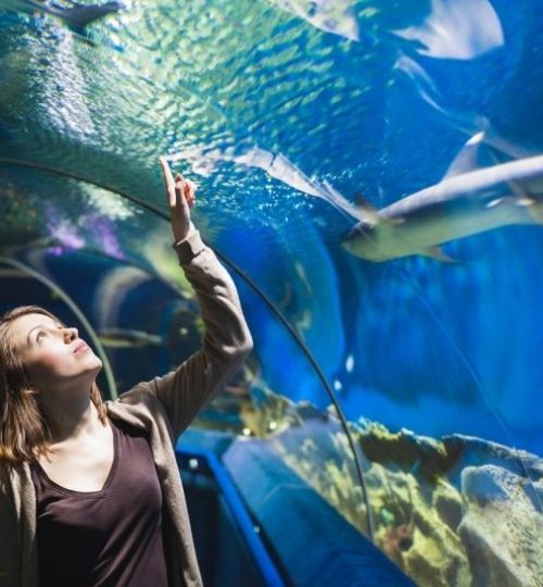 Aquarium-du-Quebec-Quebec-City