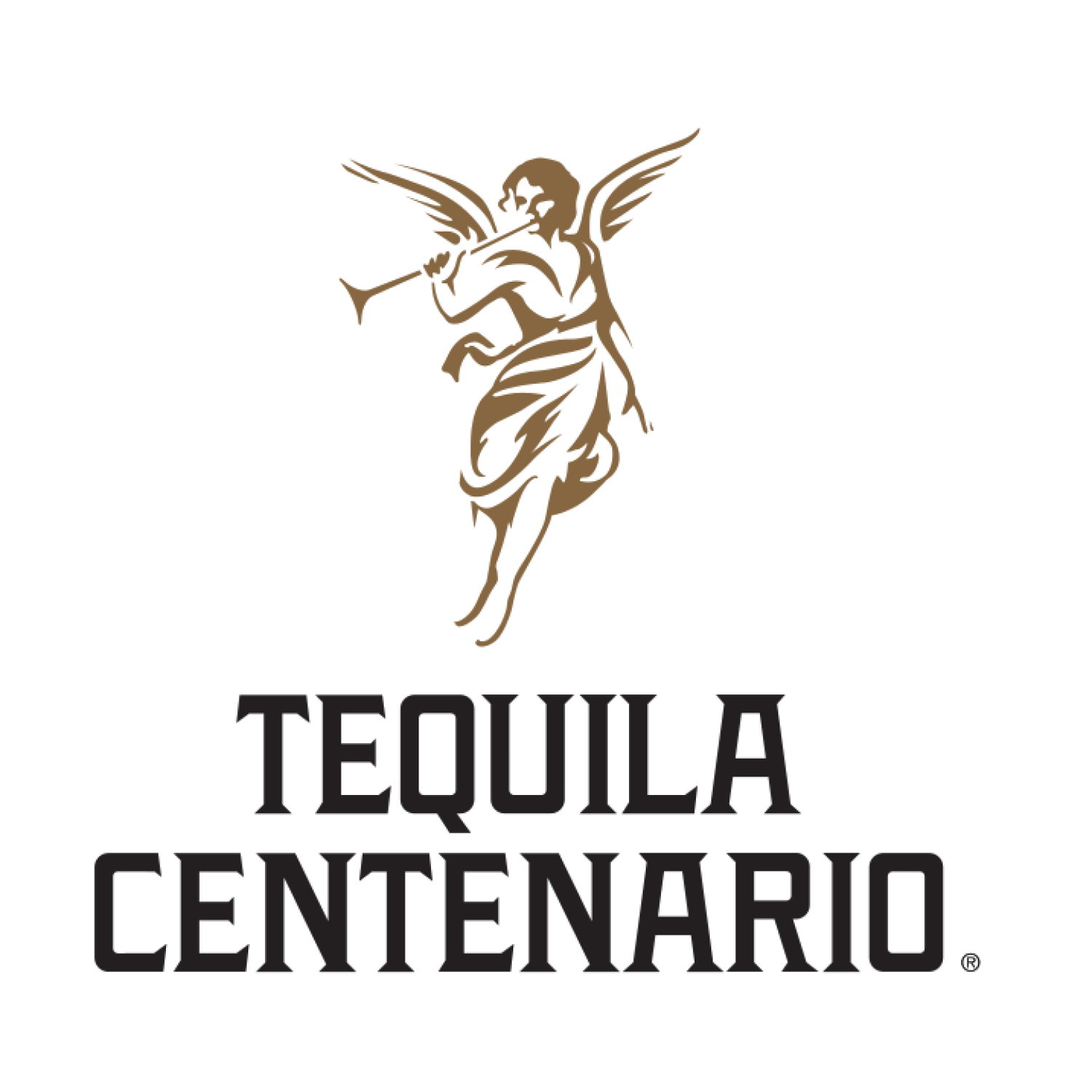 LOGOTIPO_CENTENARIO_VRT_B