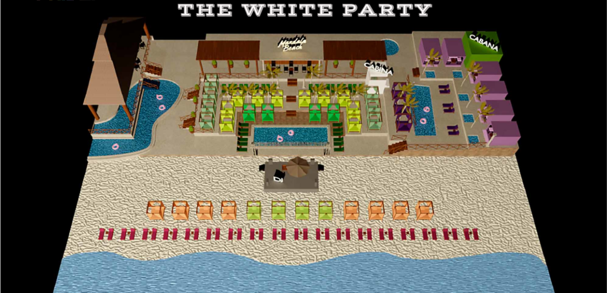 THE WHITHE PARTY
